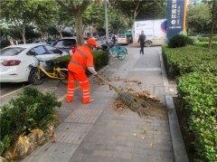 又到一年“落叶”季，环卫人员清扫忙