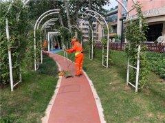 擦亮城市“底色”，绘就魅力经开！