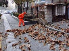 经发保洁雨后清扫落叶，还街道以干净