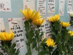 行文明祭扫，过绿色清明 | 经发保洁开展清明文明祭扫活动