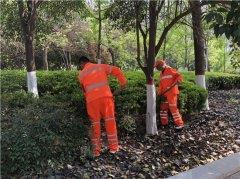 经发保洁集中清理整治，消除区内卫生死角清理