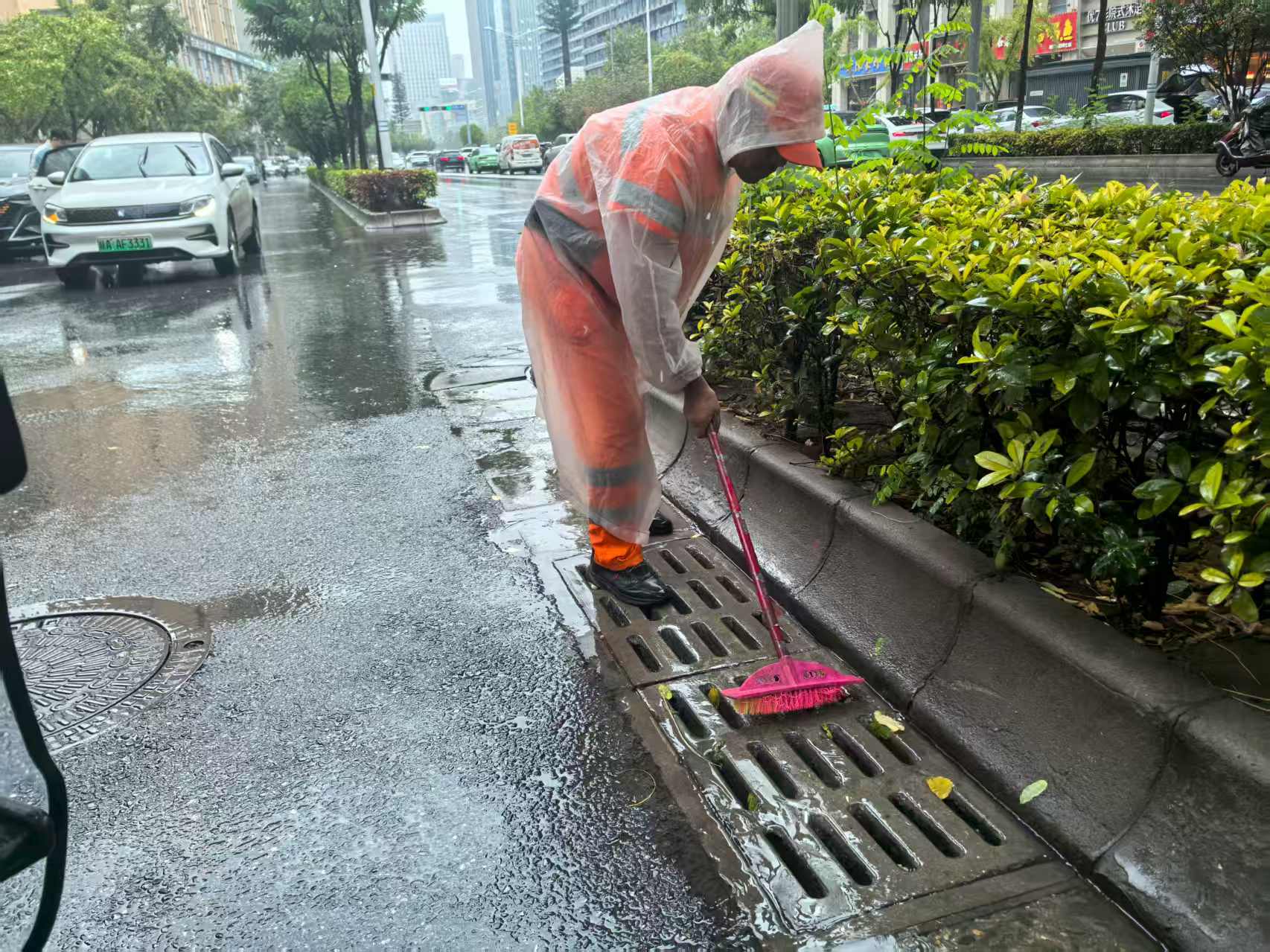 雨声为令  净城为民