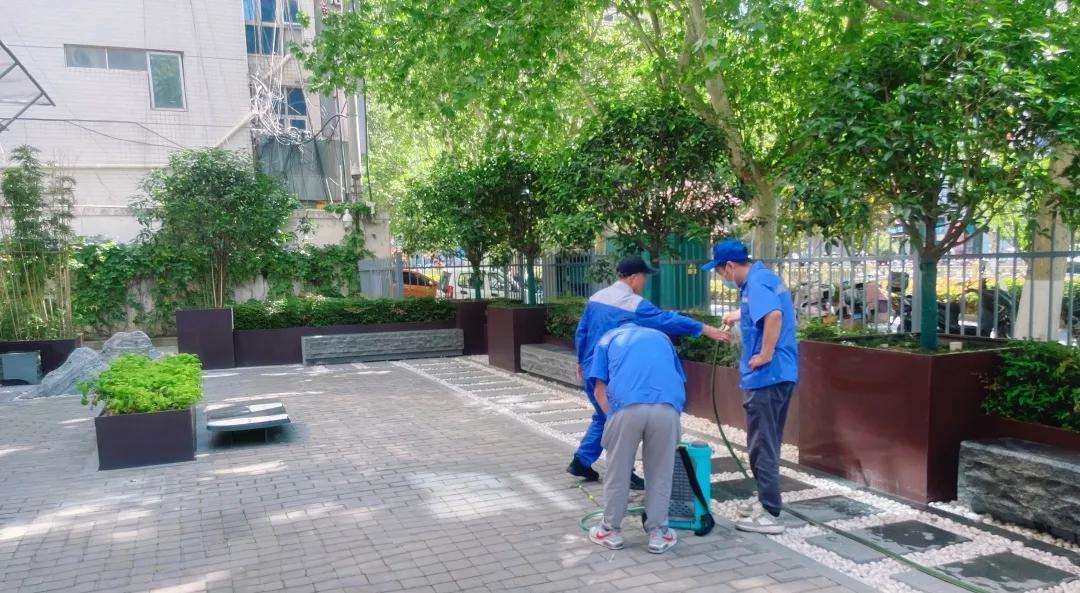 新资质、新业务、新突破|经发城服完成首个&ldquo;四害&rdquo;消杀项目